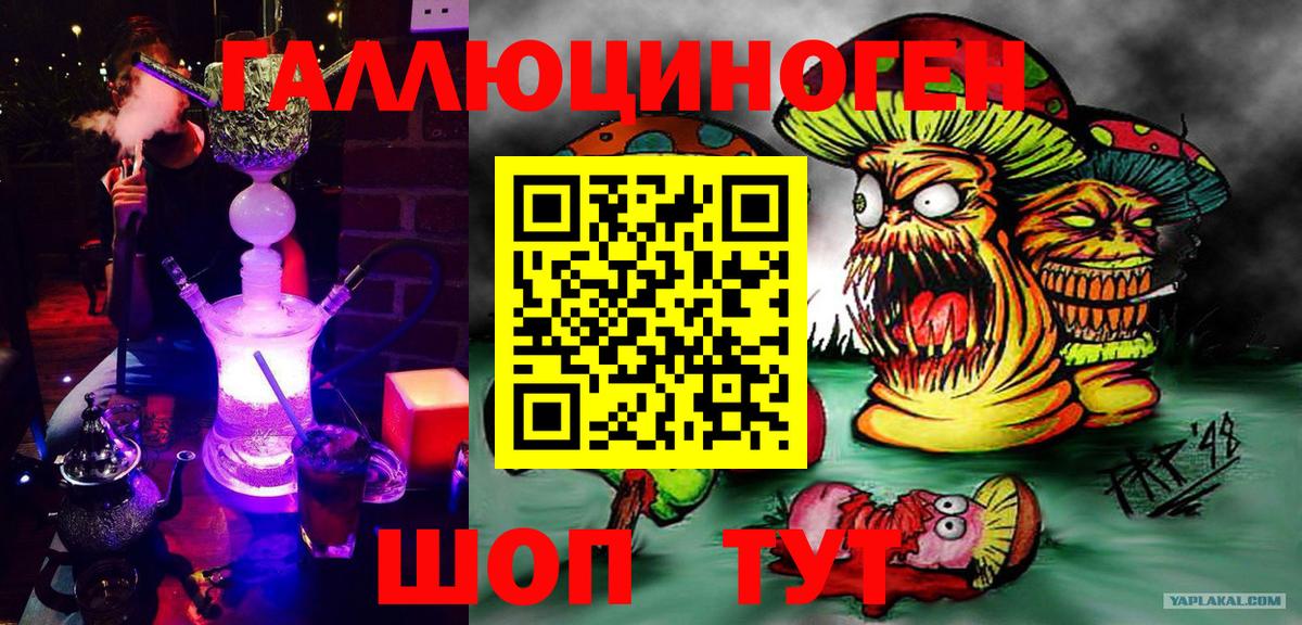 Псилоцибиновые грибы Psilocybine cubensis  Вход с VPN  Удомля 